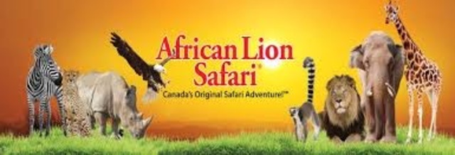 My First Job - African Lion Safari