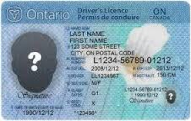 Got My Drivers License