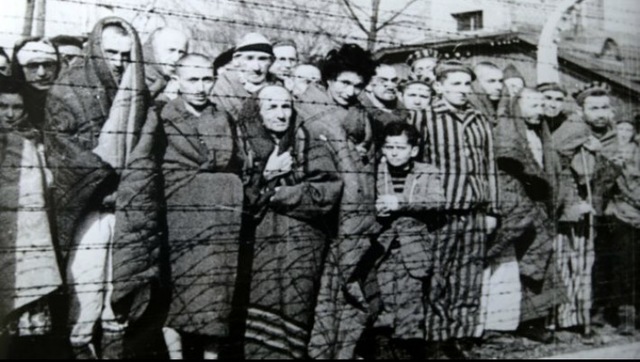 The liberation of auschwitz