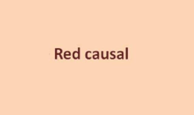 Modelo de la red de causalidad