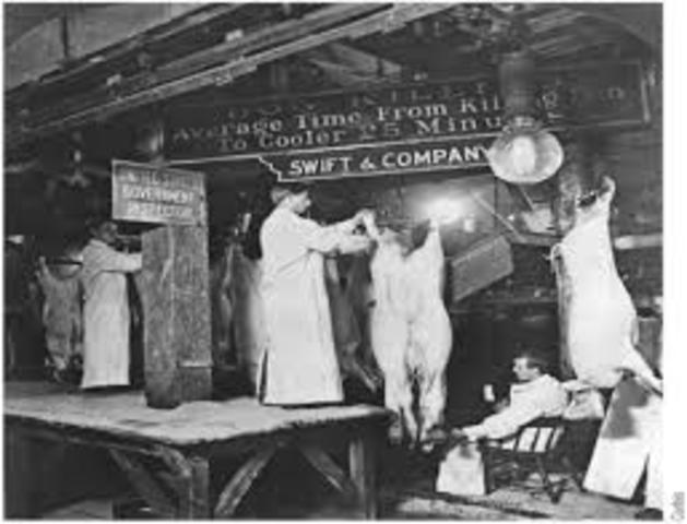 The Meat Inspection Act (1906)