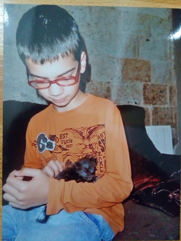 We adopt a new cat, Shelly