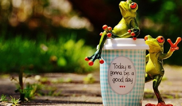 Calidad de vida (Chatuverdi, 1992).