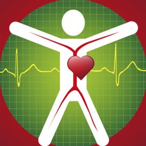 Elementos estructurales de calidad según (Ardila,2003)