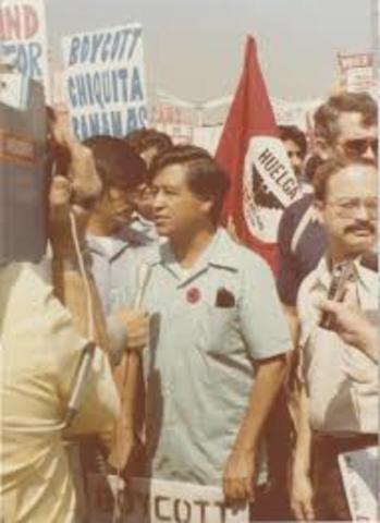 United Farm Worker’s California Delano Grape Strike