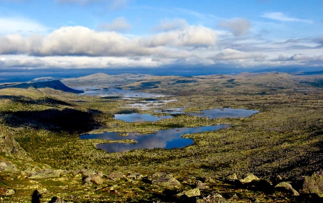 Eugien Warming  realiza expedición a Noruega, Finnmark