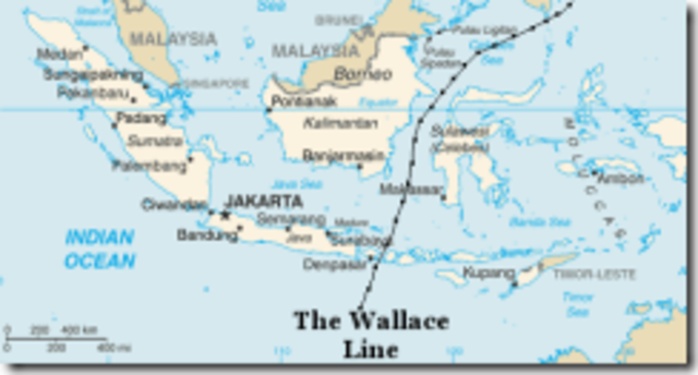 Alfred Russel Wallace realiza su segundo viaje rumbo al archipiélago mayor.