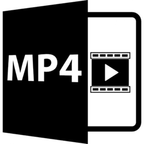MPEG-4