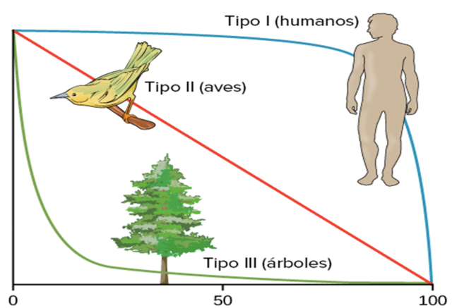 Variazioni e fluttuazione del numero d'individui in specie animali conviventi