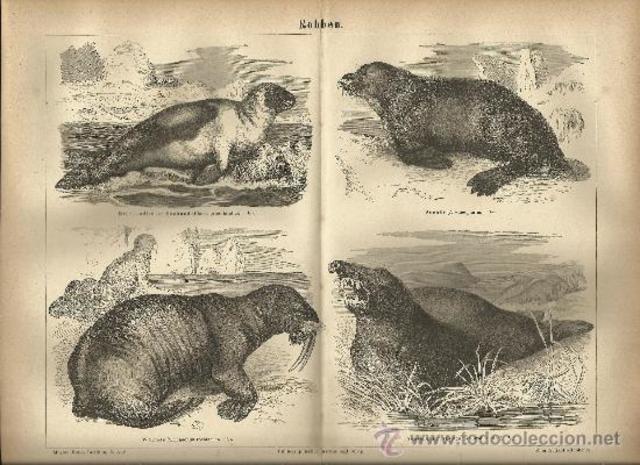 Karl August Möbius  y la zoologia