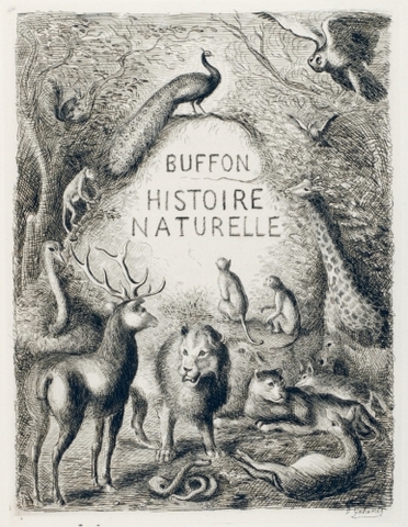 Histoire naturelle II