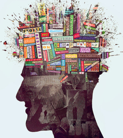 Desarrollo intelectual