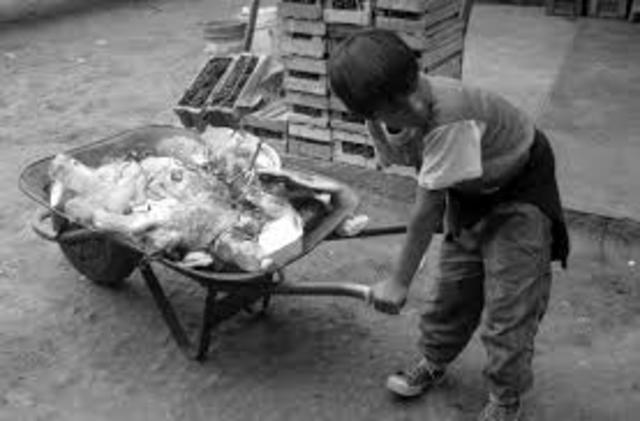 Before Industrial Revolution