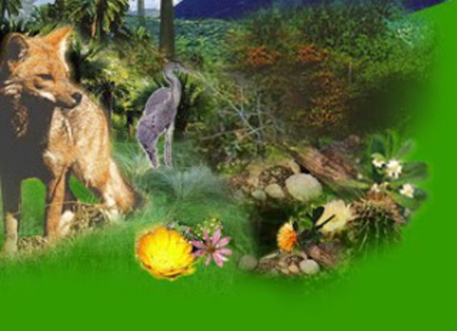 Ernst Haeckel usó el término ecología