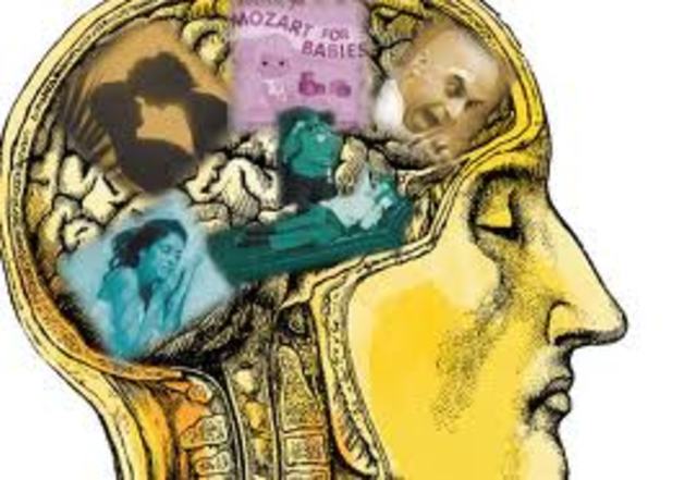 Parlett y Hamilton "Modelo de evaluación iluminativa”