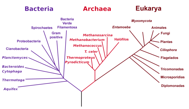 Sistema de 3 dominios