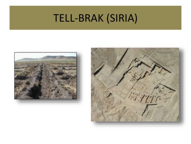 Civilización de los Acadios