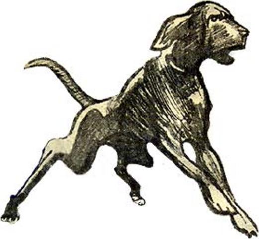 Pedro joins the household