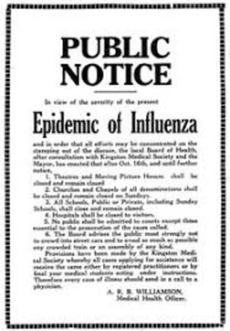 Flu Epidemic