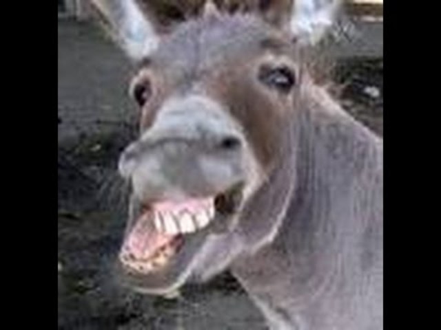 En 1972 se creó el concepto de una hoja de calculo.