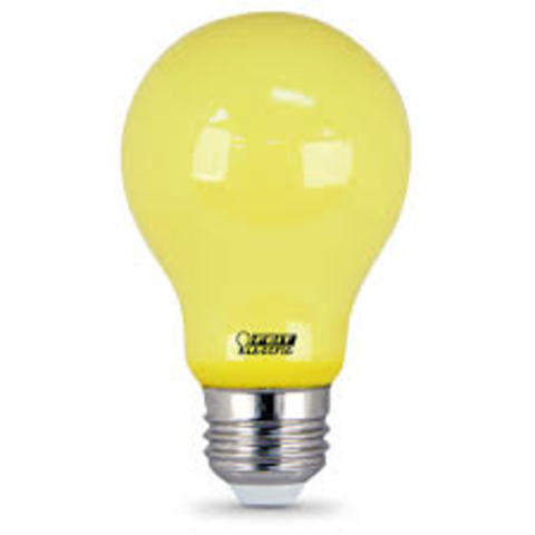 light Bulb