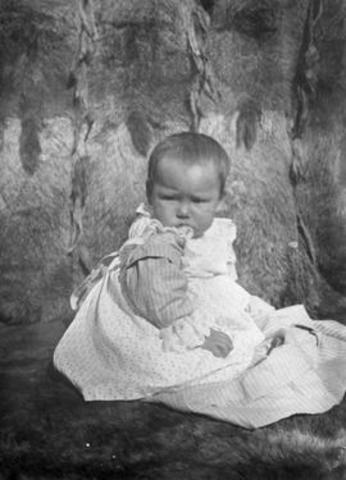 The Birth of Andrew Jackson