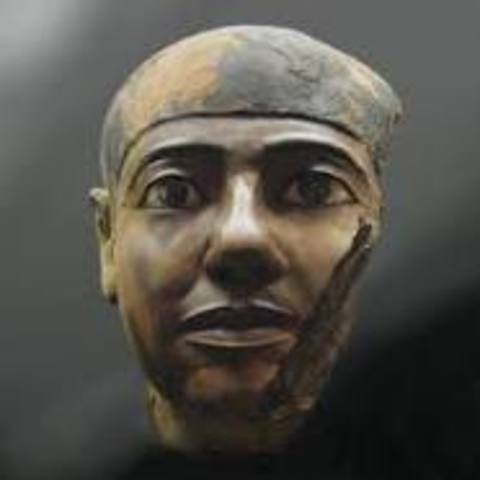 Primer experto en medicina legal