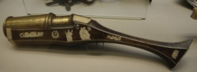 Firearm (Inventions)