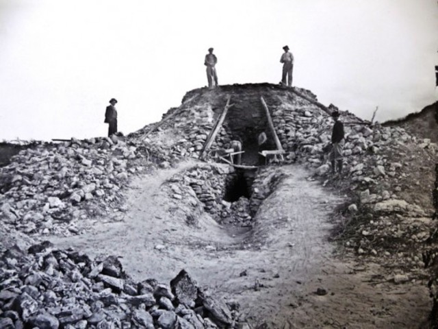 Maximización del rendimiento