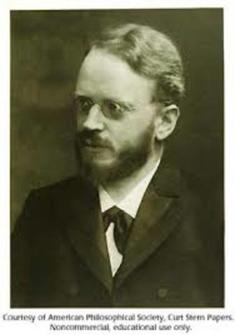 REDESCUBRIMENTO DE LAS LEYES DE MENDEL