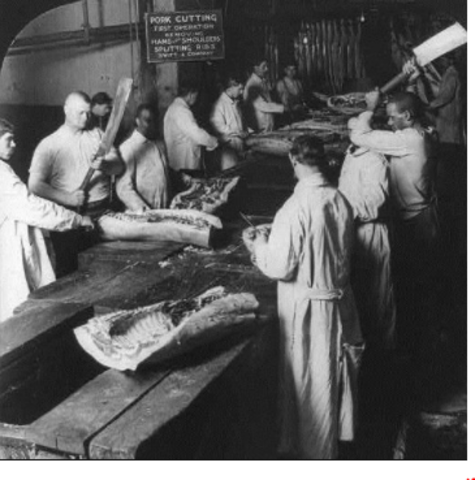 Meat Inspection Act of 1906