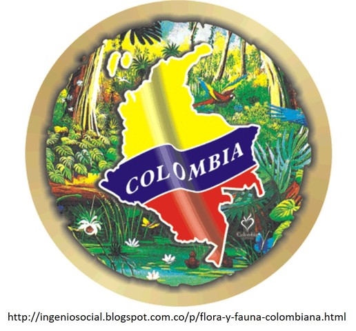 DIMENSIÓN AMBIENTAL