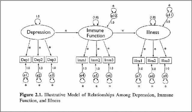 PATN ANALYSIS AND STRUCTURAL EQUATION MODELING