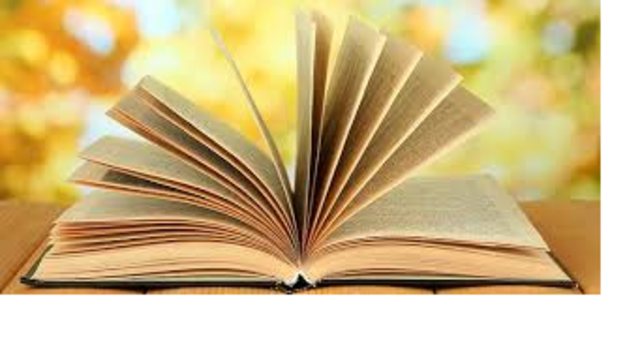 Nacen las universidades