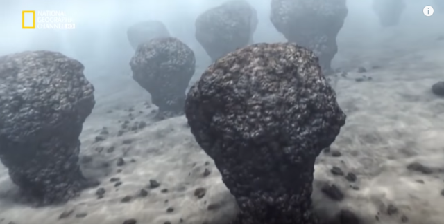 Nuevas formas más complejas de vida