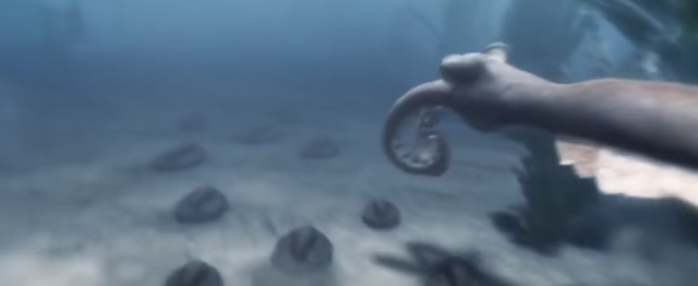 Creación de formas de vida