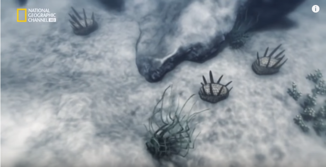 la bacterias evolucionan