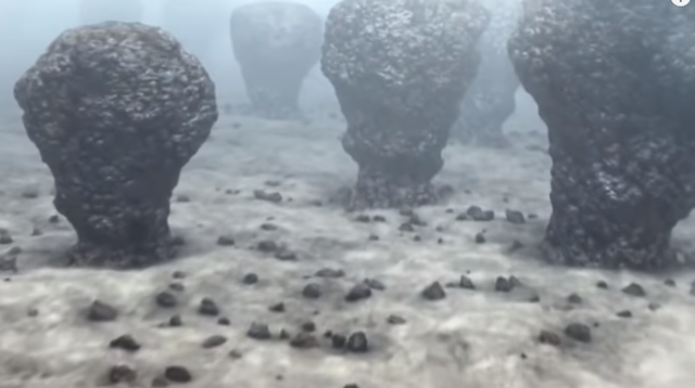 estromatolitos,oxigeno y atmosfera