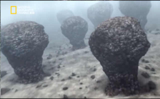 formacion de los estromatolitos