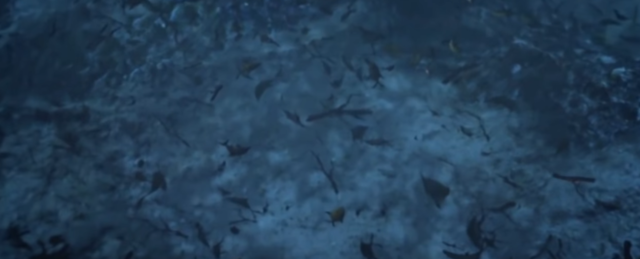 Formación de petroleo