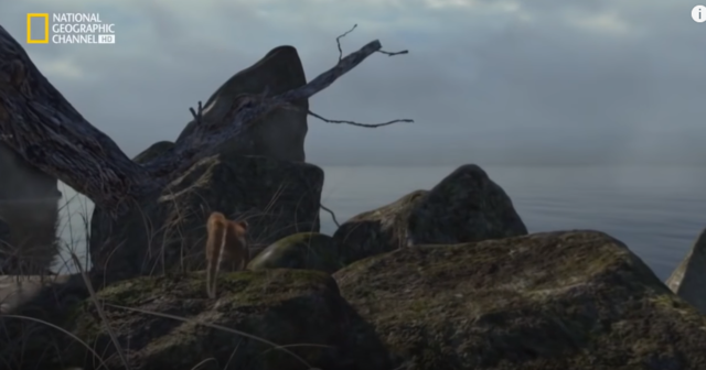 aparecen nuestros primeros antepasados los darguiños