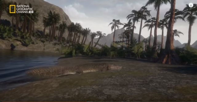 Primeros Seres en la tierra