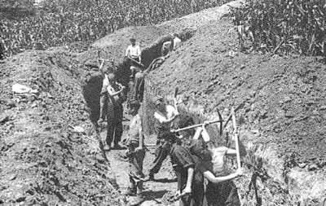 SE FRUSTRA EL PLAN SCHLIEFFEN