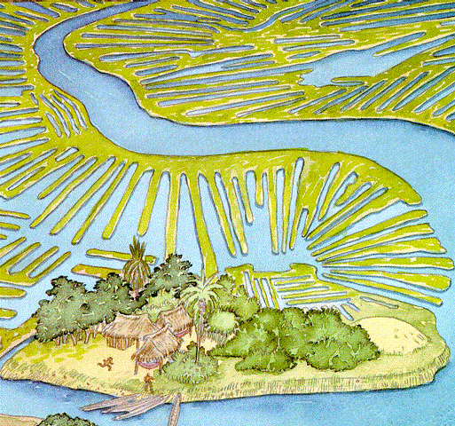 LA HIDRÁULICA DE LOS SINÚ