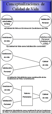 Transcurridos 20 años, aún existe una falta de consenso sobre la definición del constructo y su evaluación.
