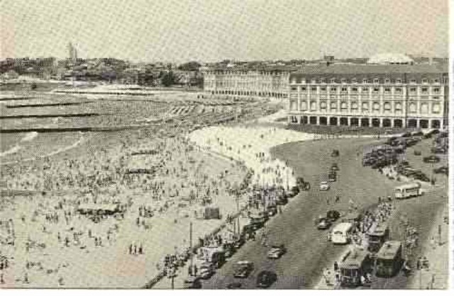 Comienzan su vida en Mar del Plata