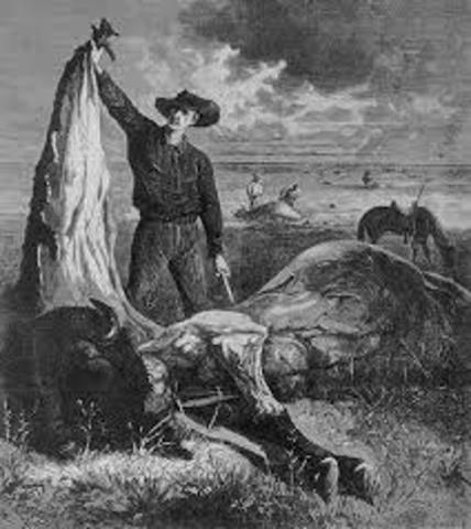 Killing of the Buffalo