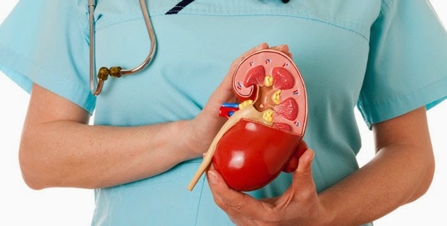 Postécnico de enfermería en Nefrología y Oncología