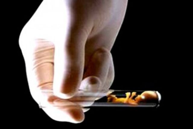 Fertilizacion Artificial