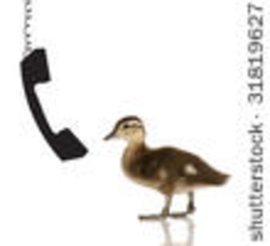 I start talking for the first time! WooHoo!